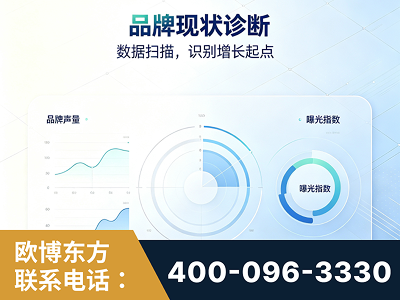 新乐-品牌现状诊断
