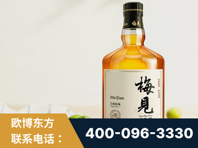 新乐-梅见青梅酒